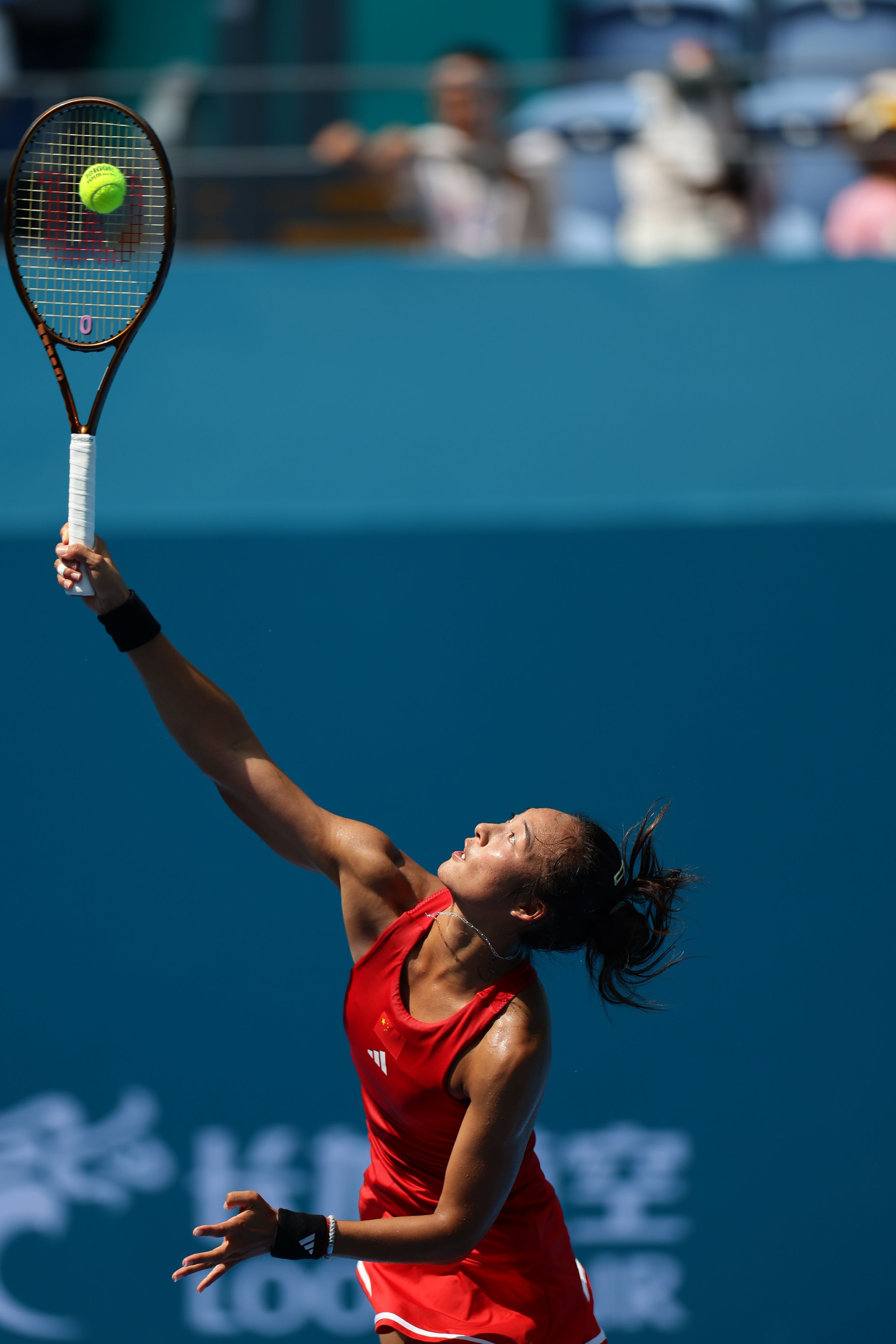 但中国拳王 但中国拳王