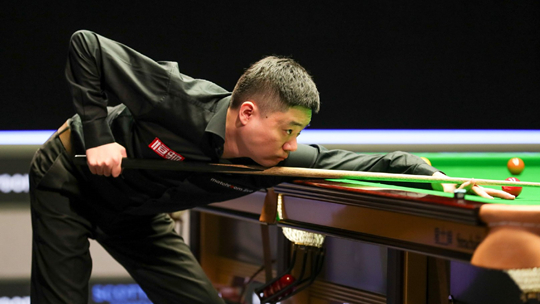 供了可行的 供了可行的