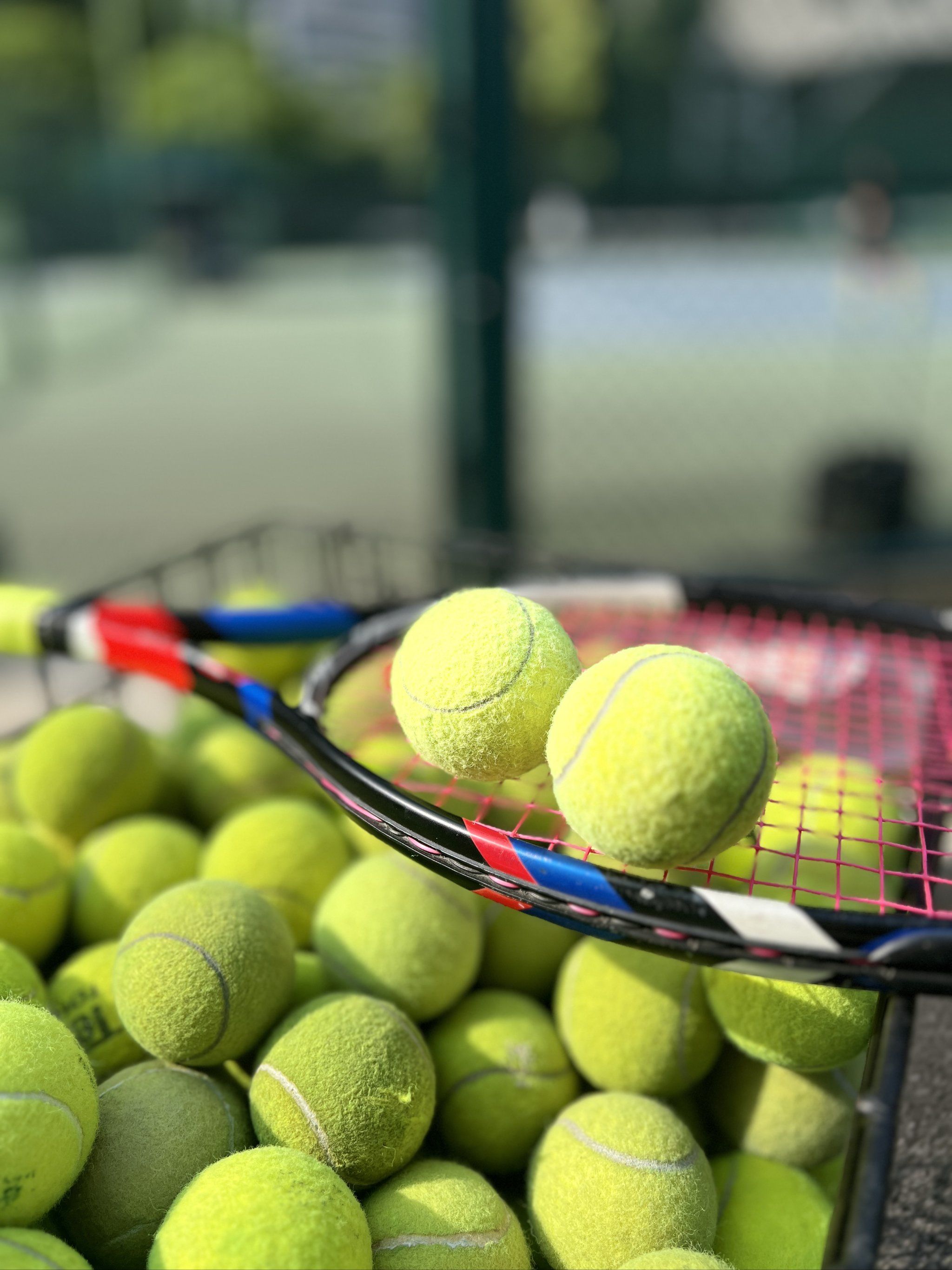 而是风声 而是风声